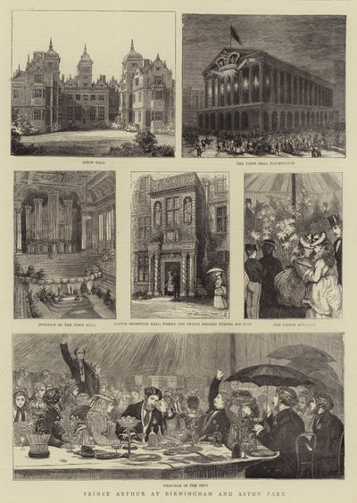 Le Prince Arthur à Birmingham et Aston Park - Francis S. Walker
